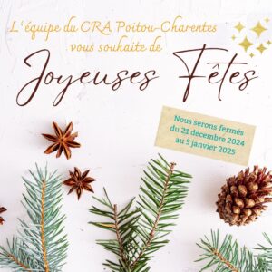 Bonnes Fêtes