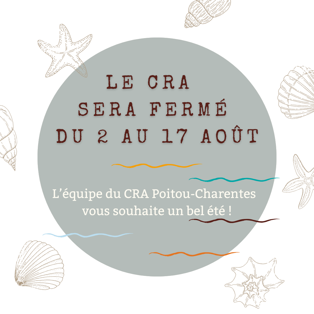Bonnes vacances