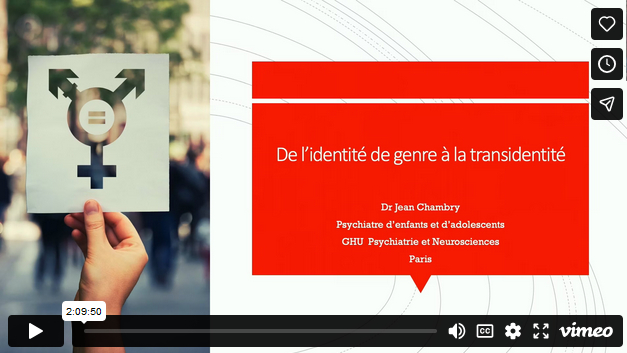 Vidéo conférence identité de genre
